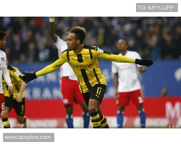 汉堡对阵多特精彩回放分析与比赛亮点总结