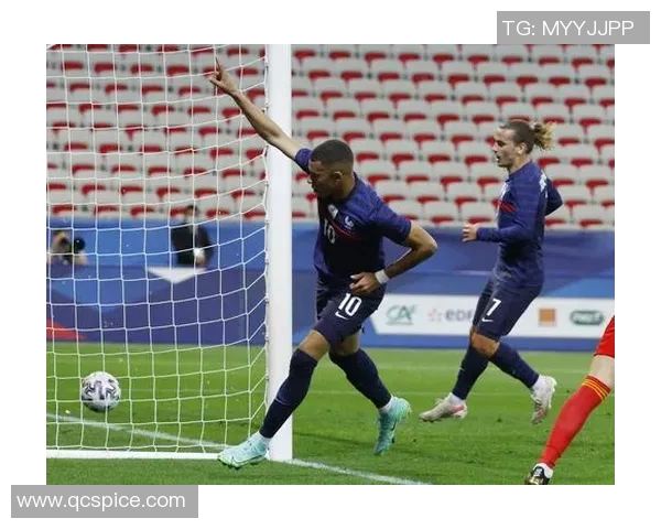 法国与尼日利亚足球对决精彩回顾及战术分析