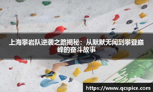 上海攀岩队逆袭之路揭秘：从默默无闻到攀登巅峰的奋斗故事